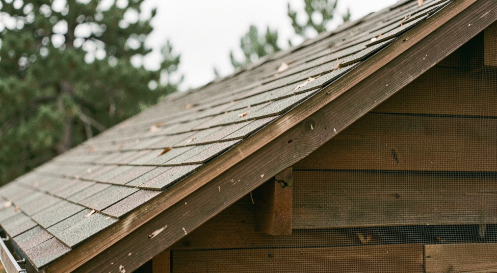 Home fire safety in a mountain house: alarms, hearths and the first minute: smoke alarms, wood heat, escape plan in a Colorado mountain setting